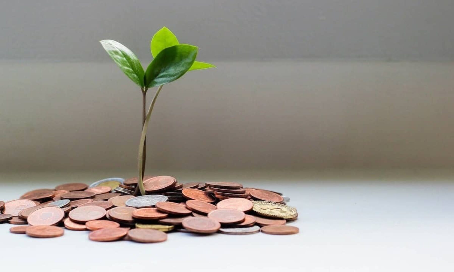 Image for Six ways an ISA can fight climate change