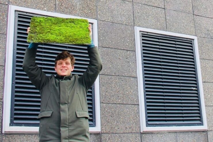 Image for This company is helping cities breathe by covering walls with moss