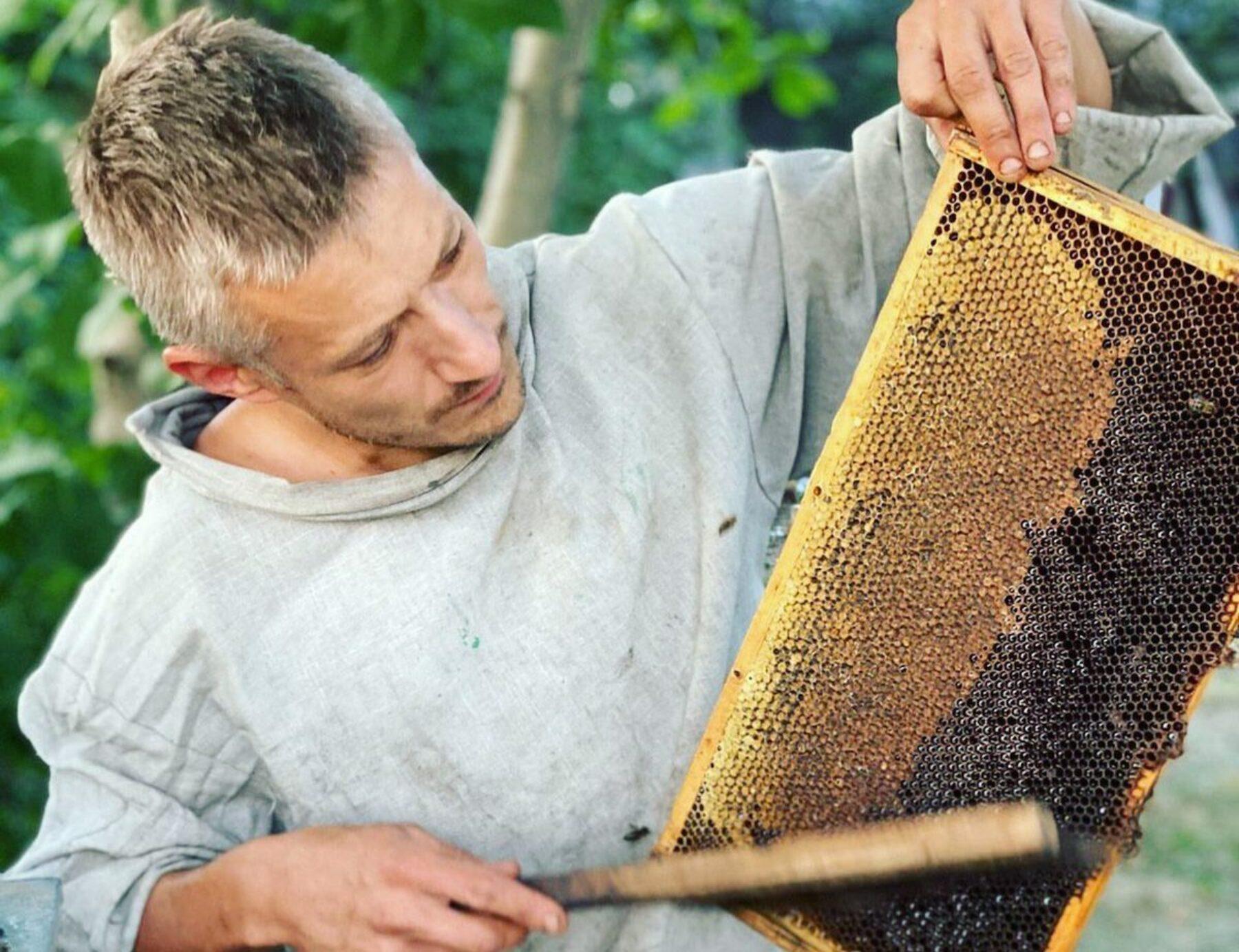 Image for ‘There will be honey’: supporting Ukrainian beekeepers in a time of war