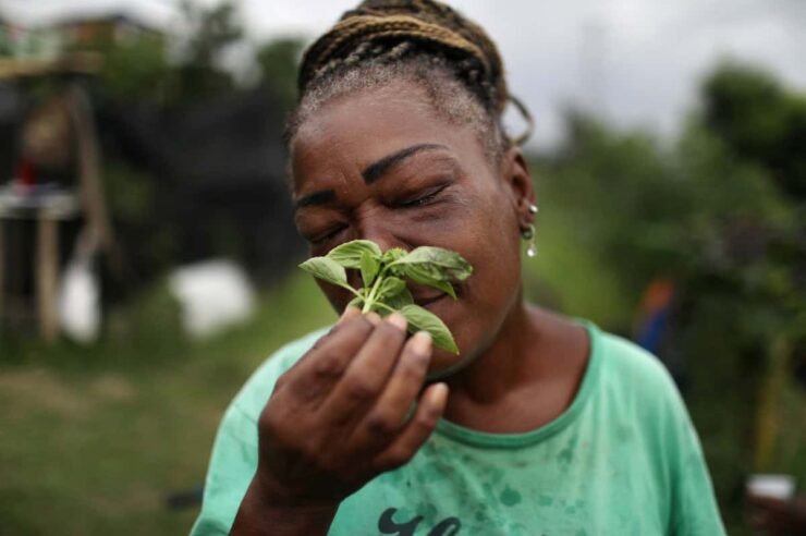 Image for ‘Without it, I might be dead’: the garden that saves lives