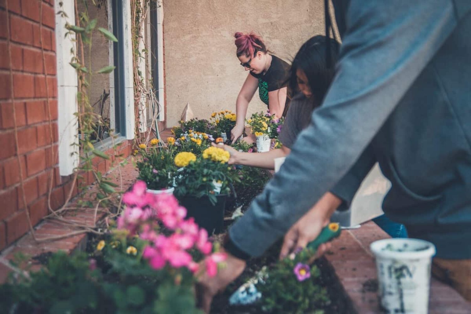 Community farms