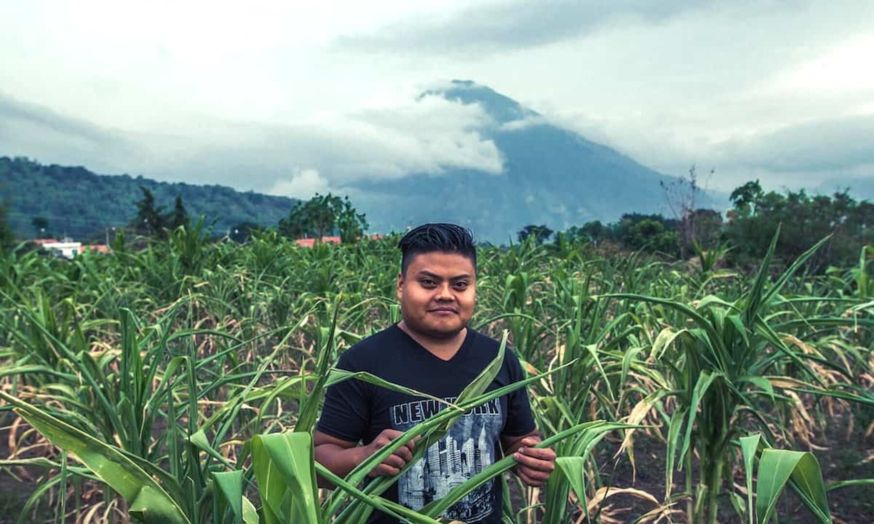 Image for How a new seed gives Guatemalans a way out of hunger and bad health