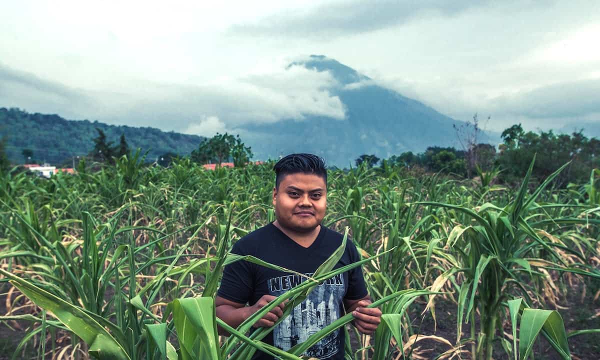 Cómo una nueva semilla le da a Guatemala una salida al hambre y la mala salud