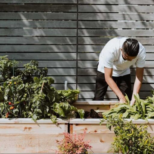 Community farms