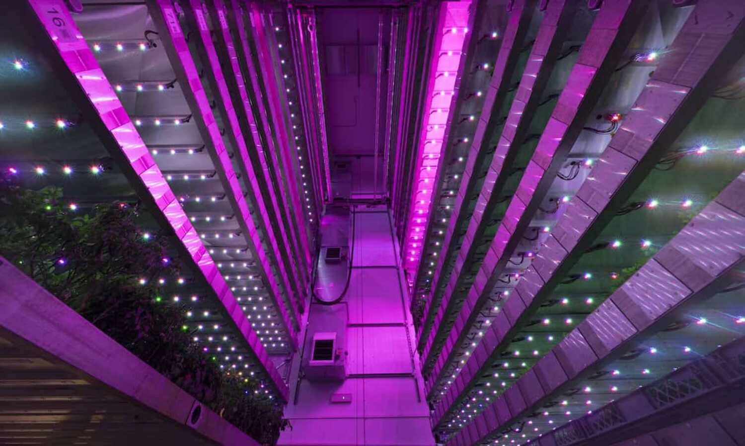 Vertical farming