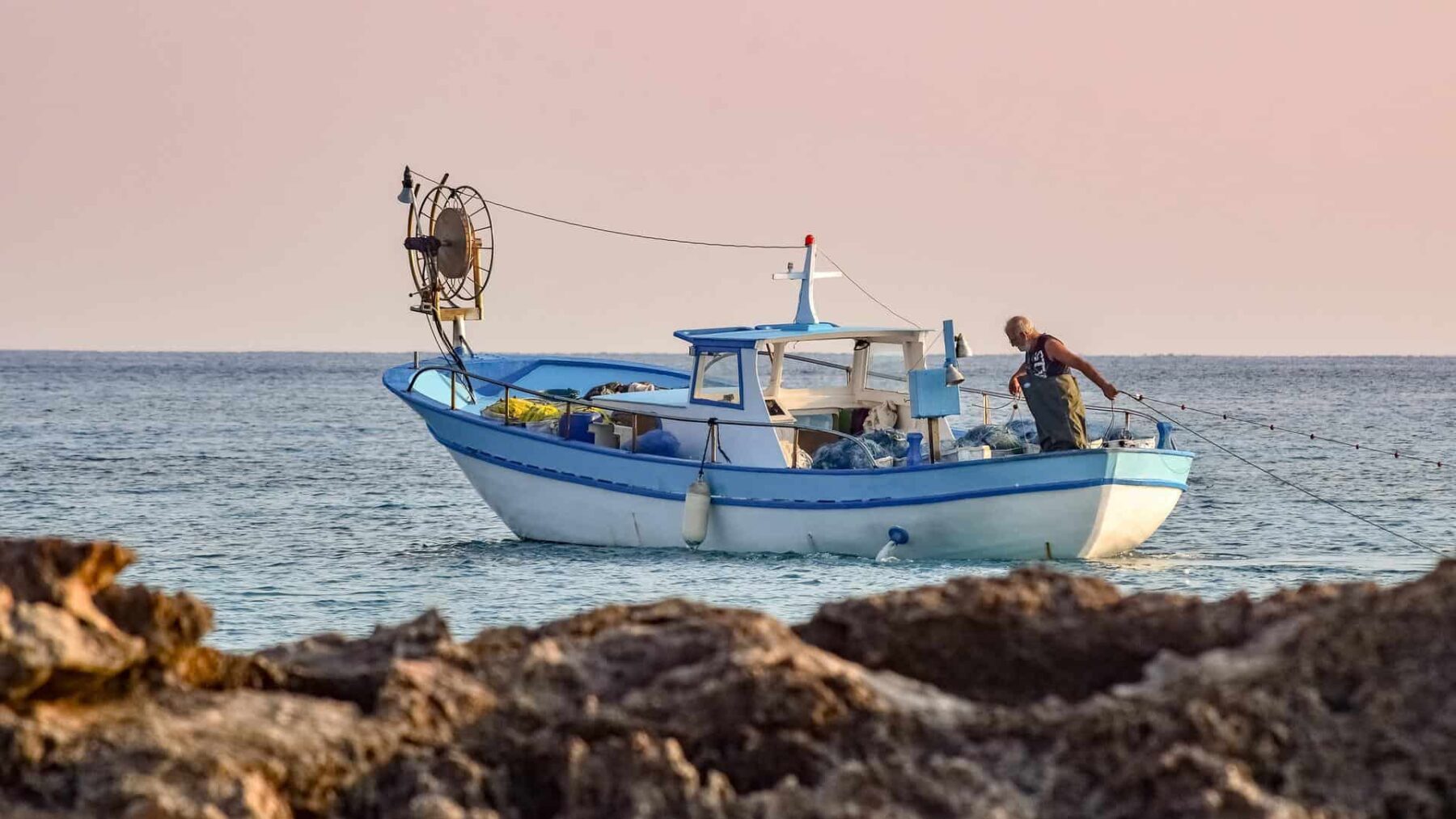 Image for Scientists accidentally discover ‘scallop discos’ as an eco-friendly fishing method