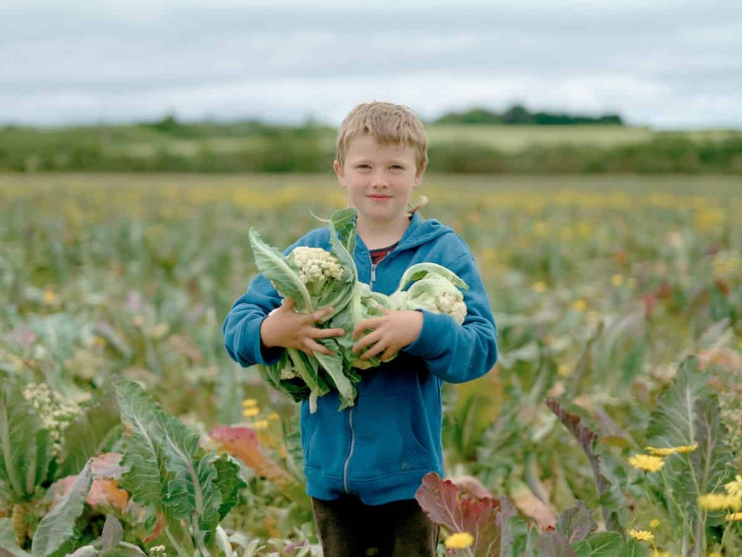 Gleaners