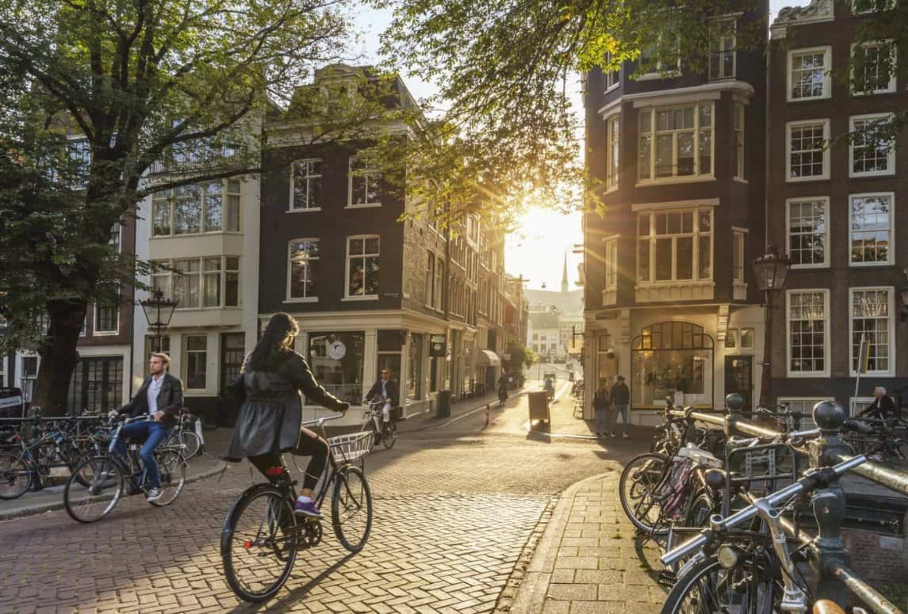 Image for What went right this week: why we should all go Dutch, plus more