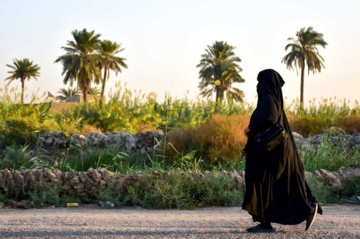 Image for Once ravaged by war, Iraq’s date palms are swaying once more