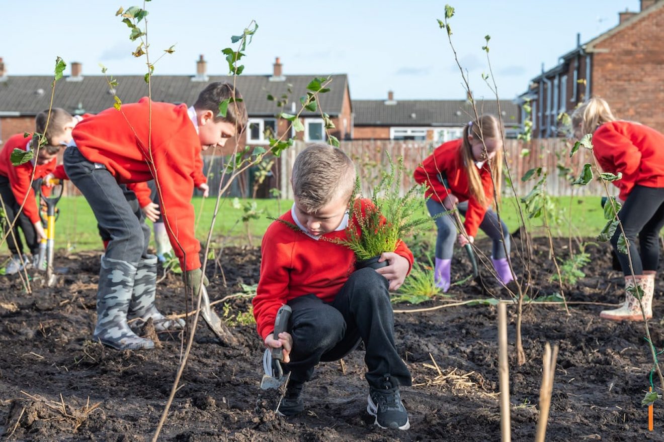 Image for The ‘mini forest’ revolution is here – and coming to a town near you