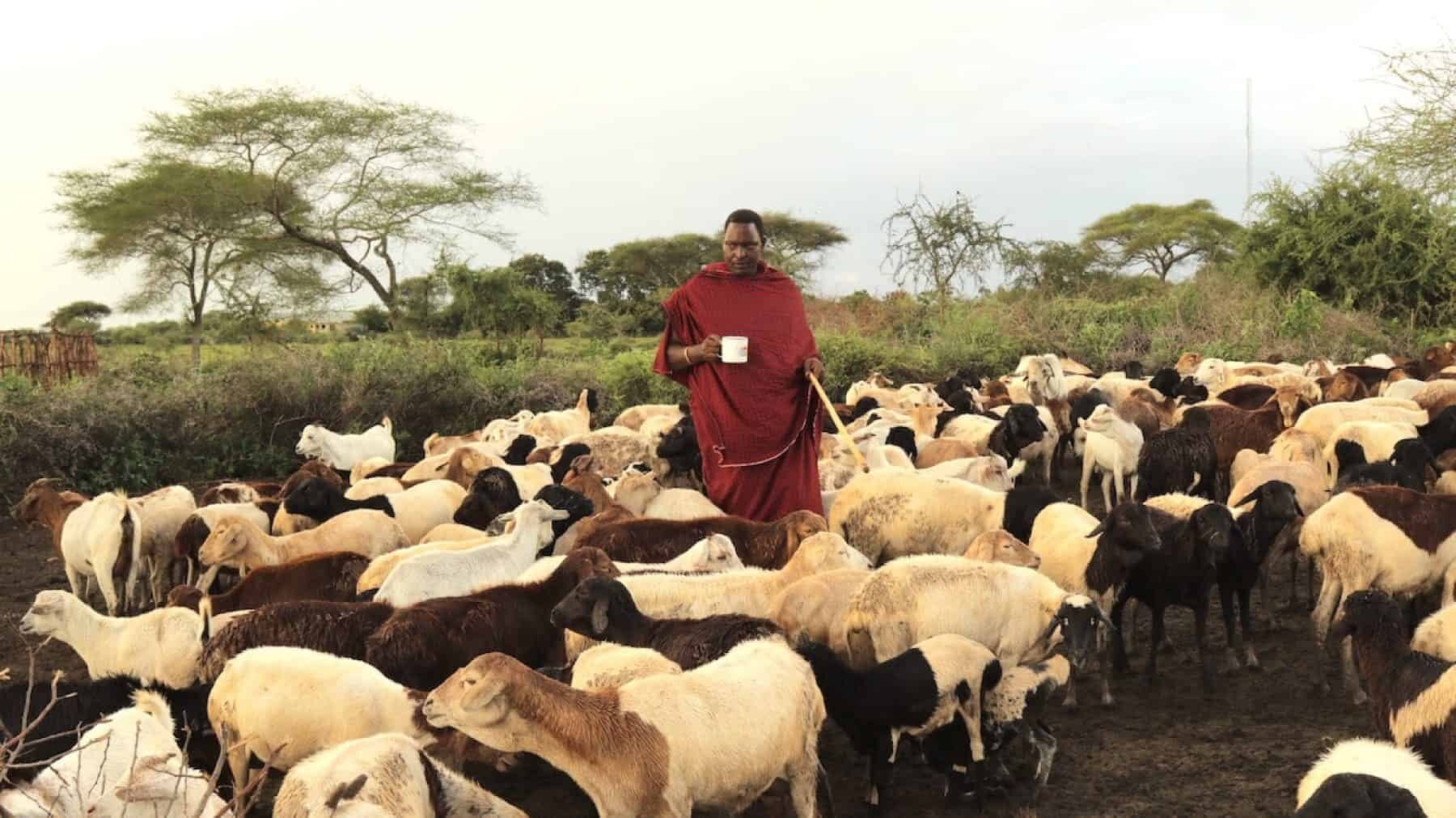 Image for The Maasai community that took on the Tanzanian government – and won