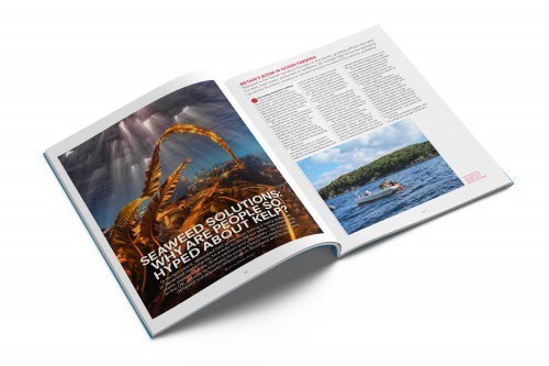 Positive News #113, Apr-Jun 2023 - Image 2