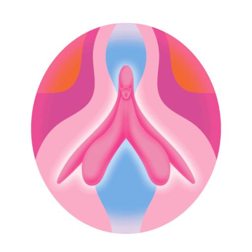 clitoris