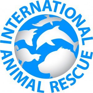 International Animal Rescue Logo