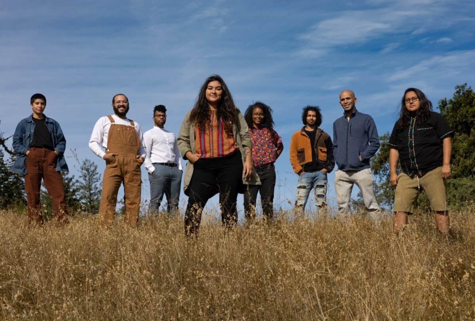 Image for The Indigenous forest collective restoring a corner of California