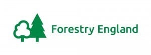 Forestry England Logo