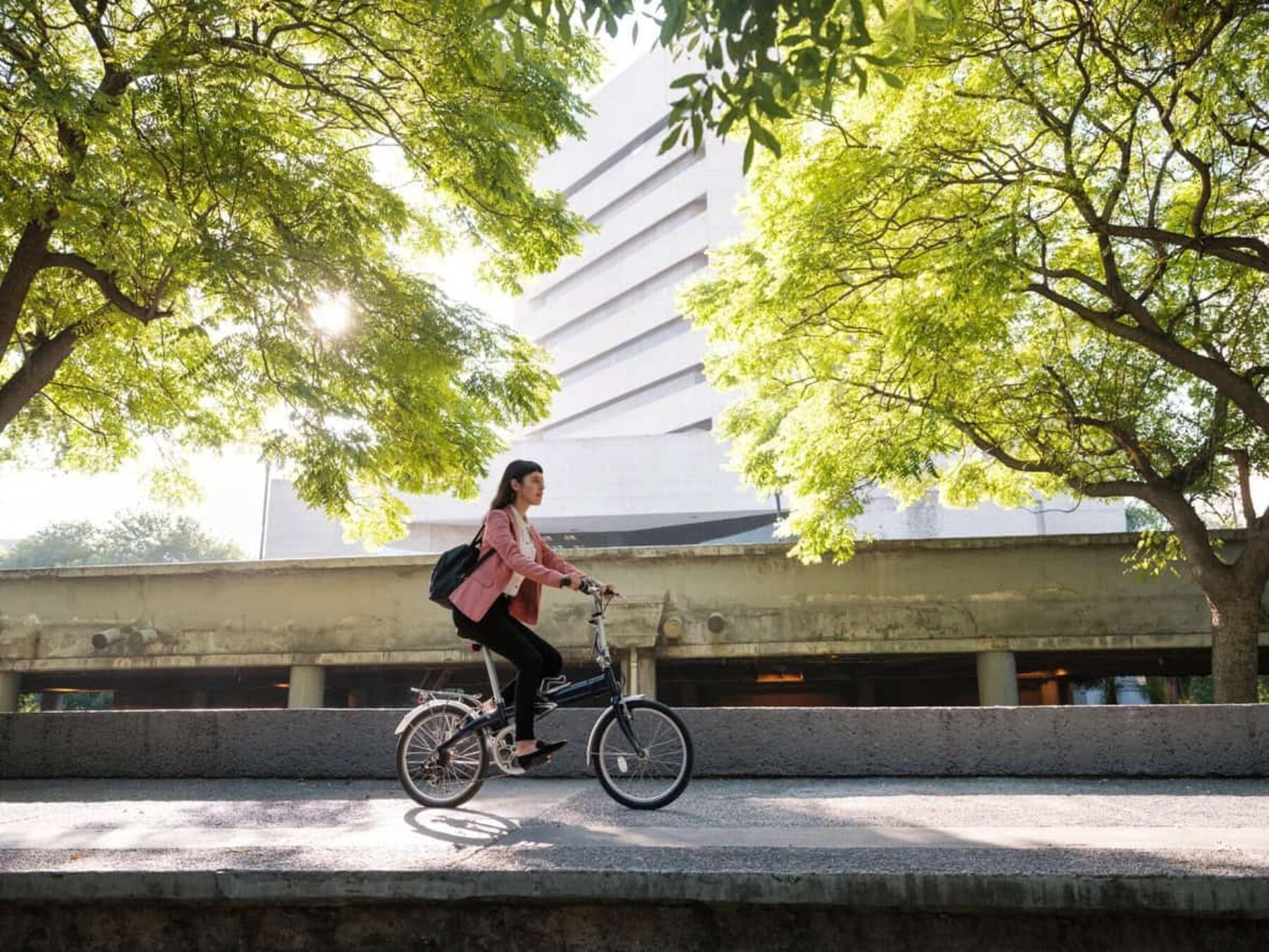 Image for Why people are starting to think differently about urban trees