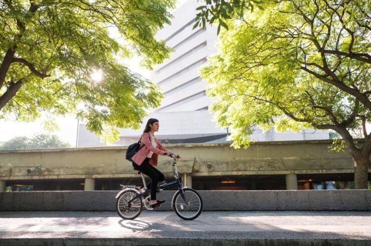 Image for Why people are starting to think differently about urban trees