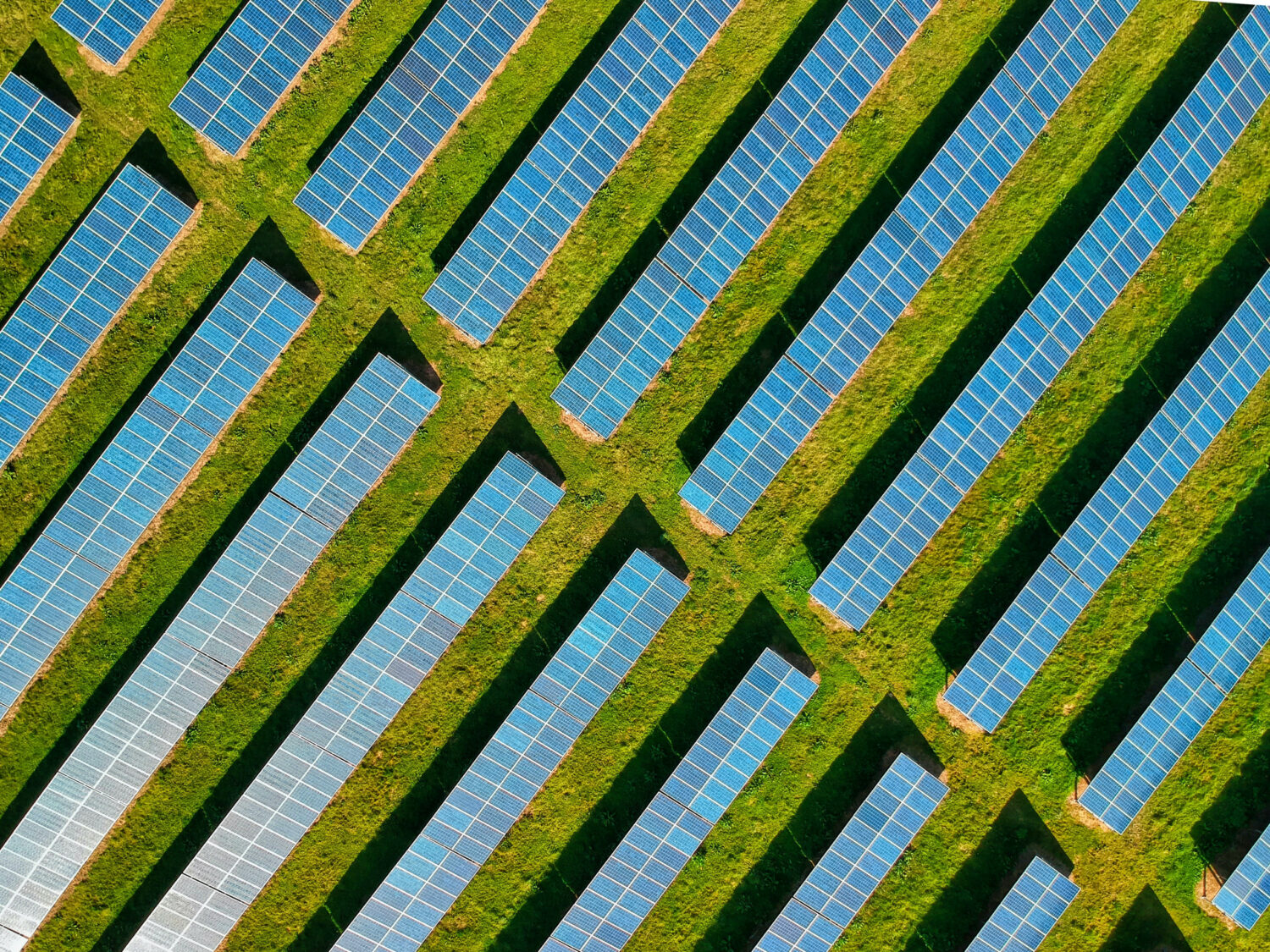 solar panels