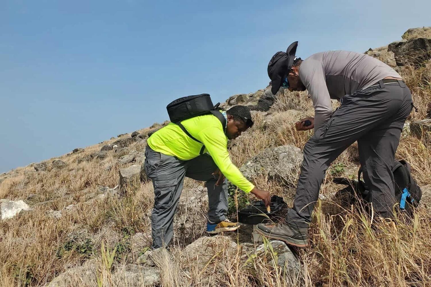 Rewilding Redonda Island