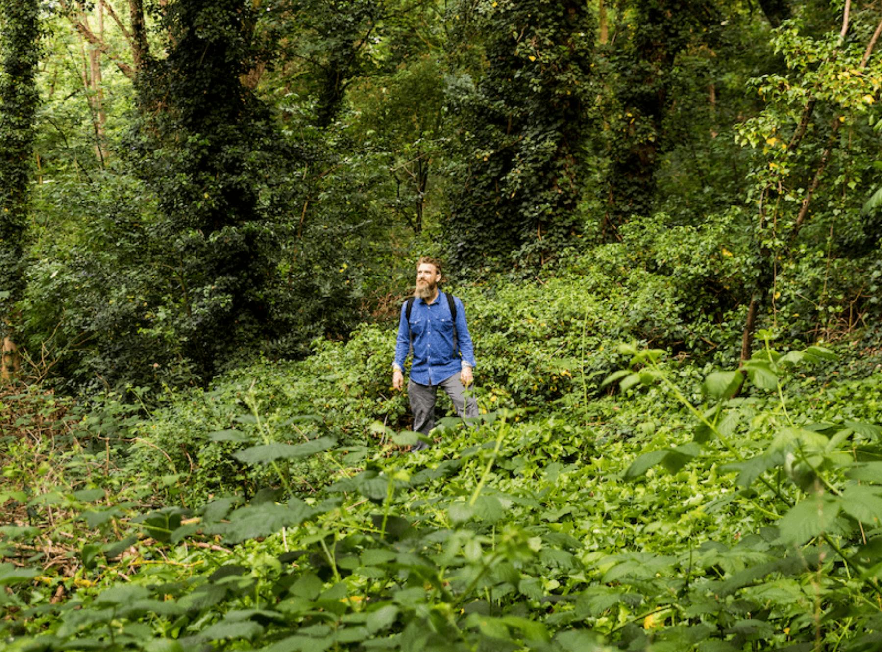 Image for London: the world’s first national park city