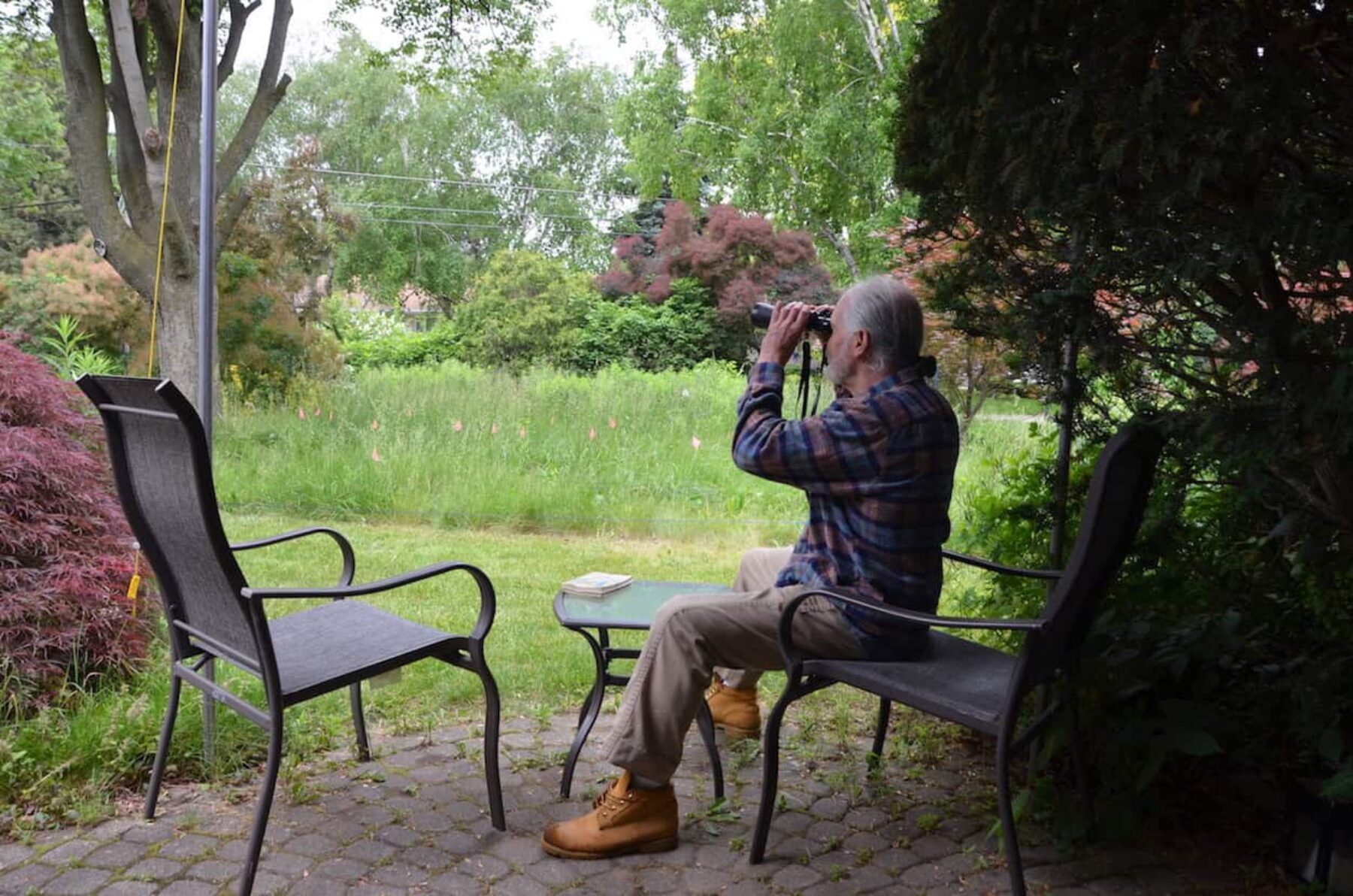 Image for Canadian gardener challenges his city’s ‘outdated’ weed-whacking ways