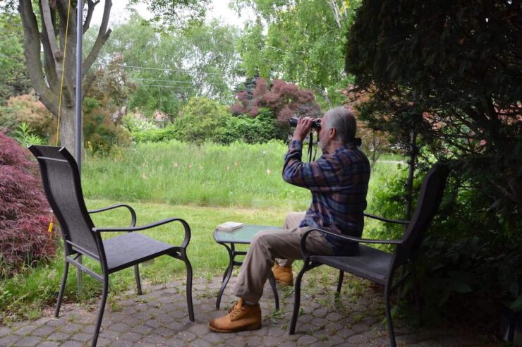 Image for Canadian gardener challenges his city’s ‘outdated’ weed-whacking ways