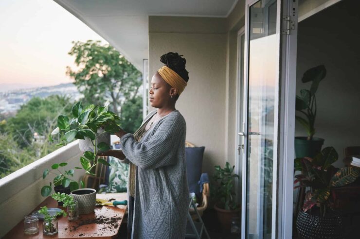 Image for Seven ways to transform your house into an ecohome