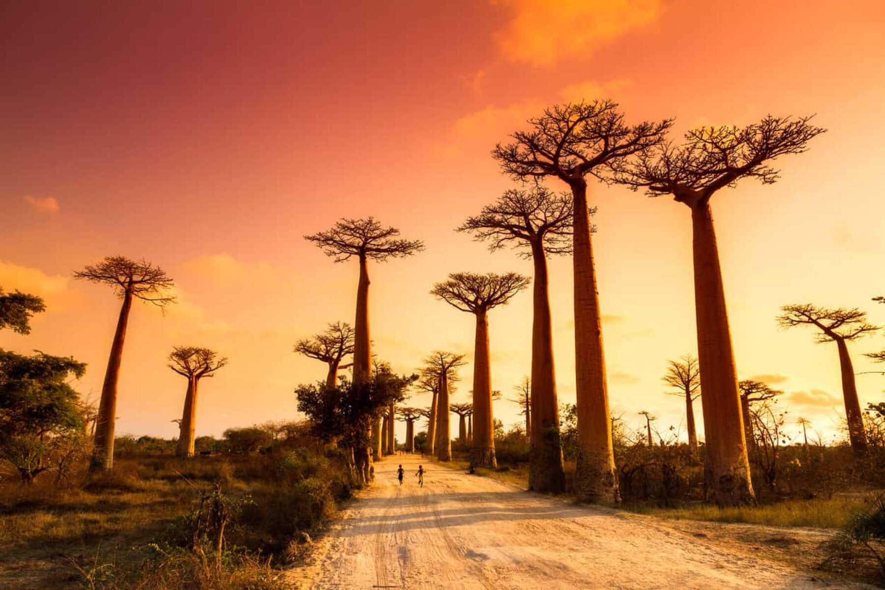 Image for What went right this week: potential ‘huge gains’ for nature, plus more