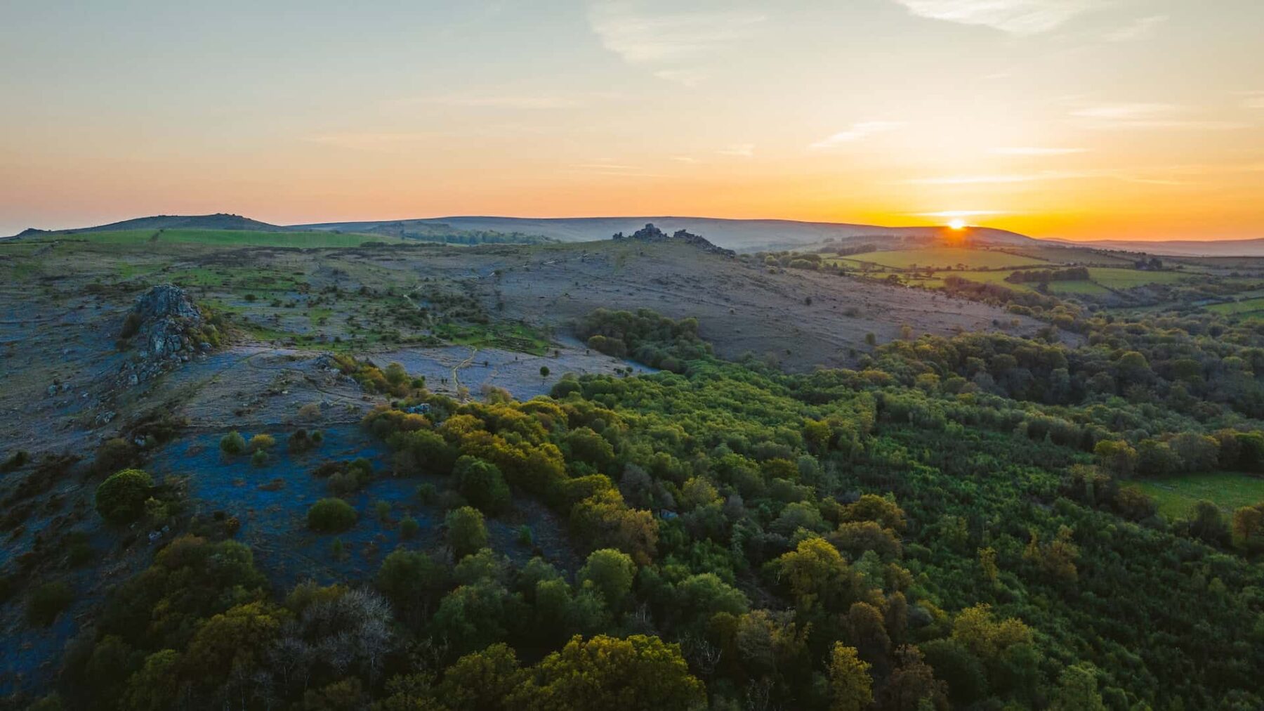 Image for A powerful new film shows nature restoration in action