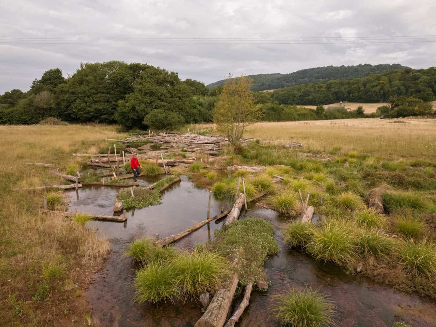 Image for A new flow: pioneering UK river restoration declared a success