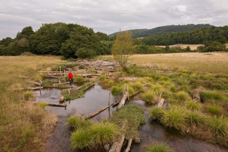 Image for A new flow: pioneering UK river restoration declared a success
