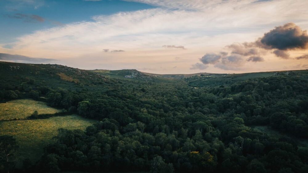 nature restoration