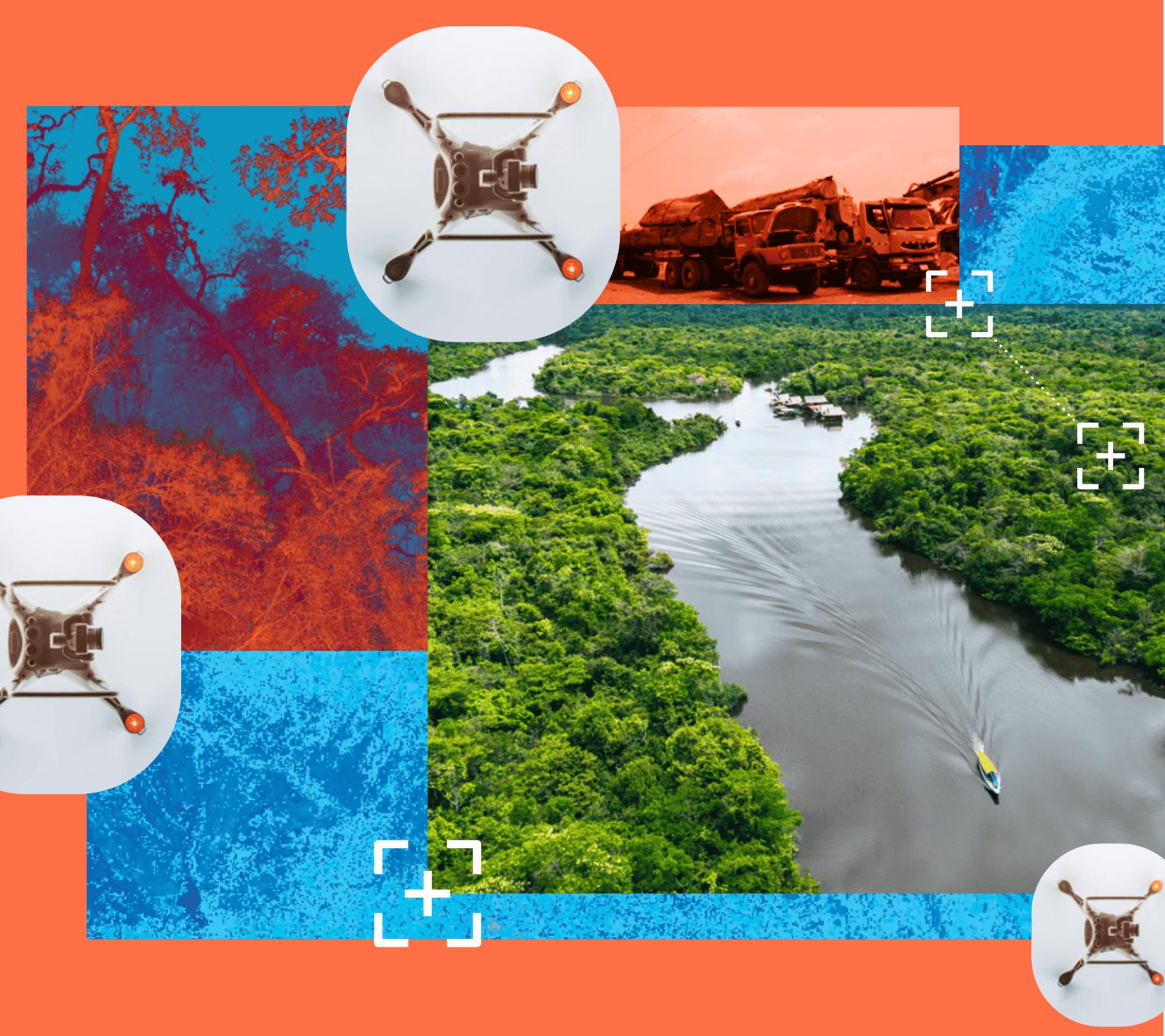 Image for Could AI help save the planet? Four ways it’s already making a world of difference