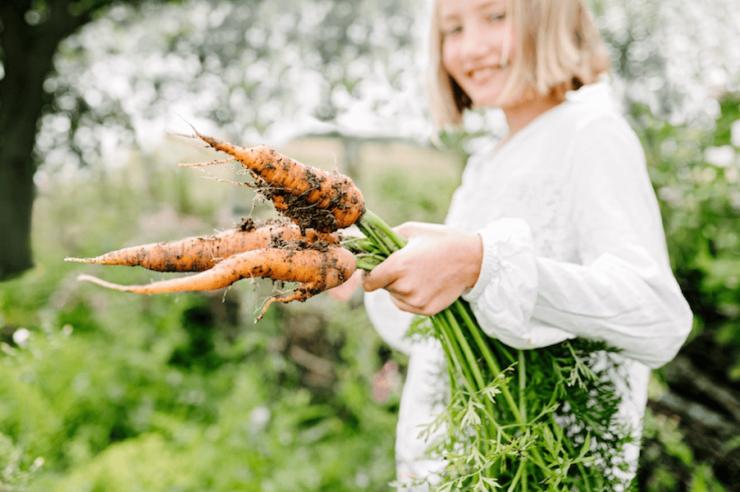 Image for Three more UK farms diversifying with nature connection in mind