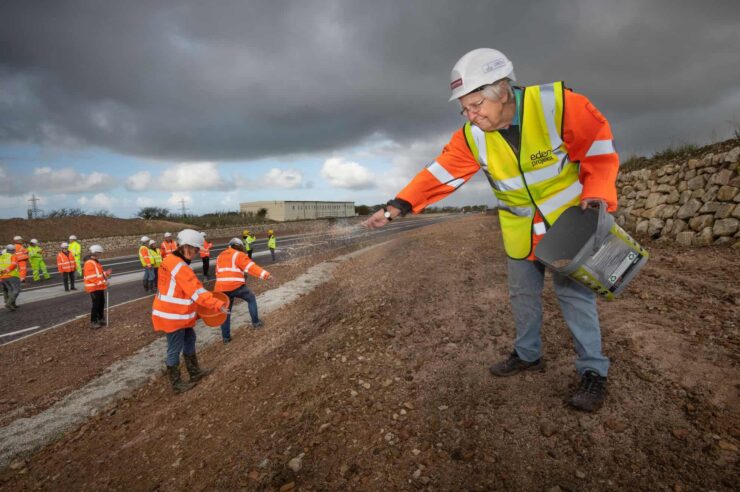 Image for Hand-selected seeds are set to bring riot of colour and life to new road in Cornwall