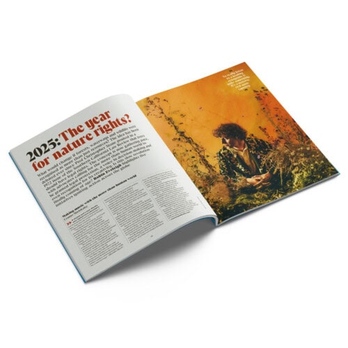 Gift subscription - Image 4