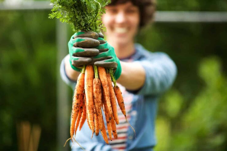 Image for We want to know: where does abundance show up in your life?