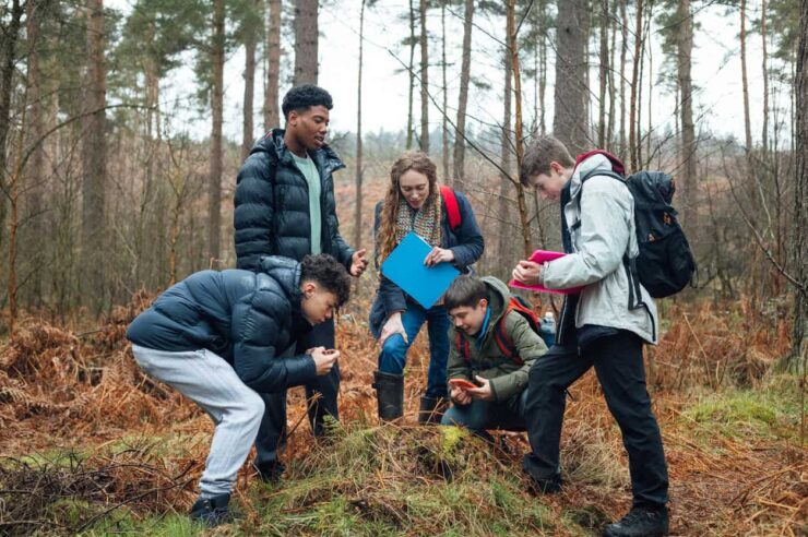 Image for Rewilding the curriculum: natural history GCSE to be introduced in the UK