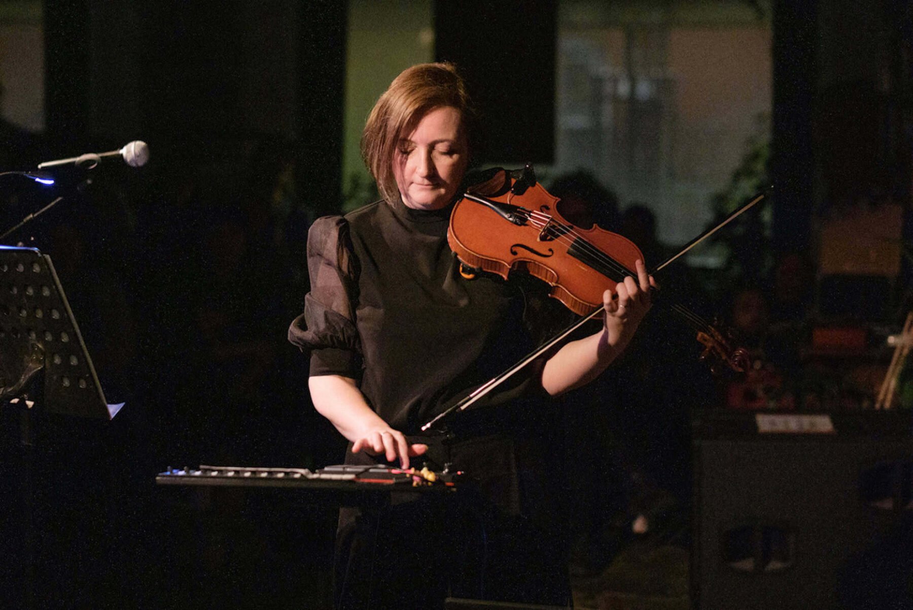 Image for Violinist composes music from moth flight data to highlight insect decline