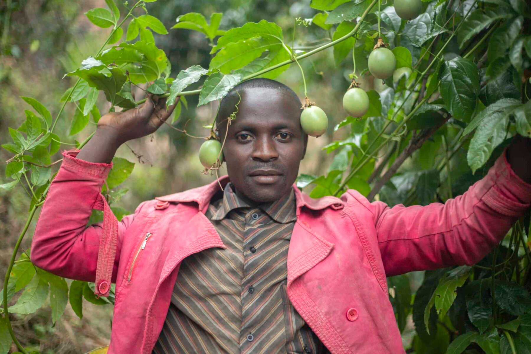Image for Co-operative business: a recipe for resilience in turbulent times