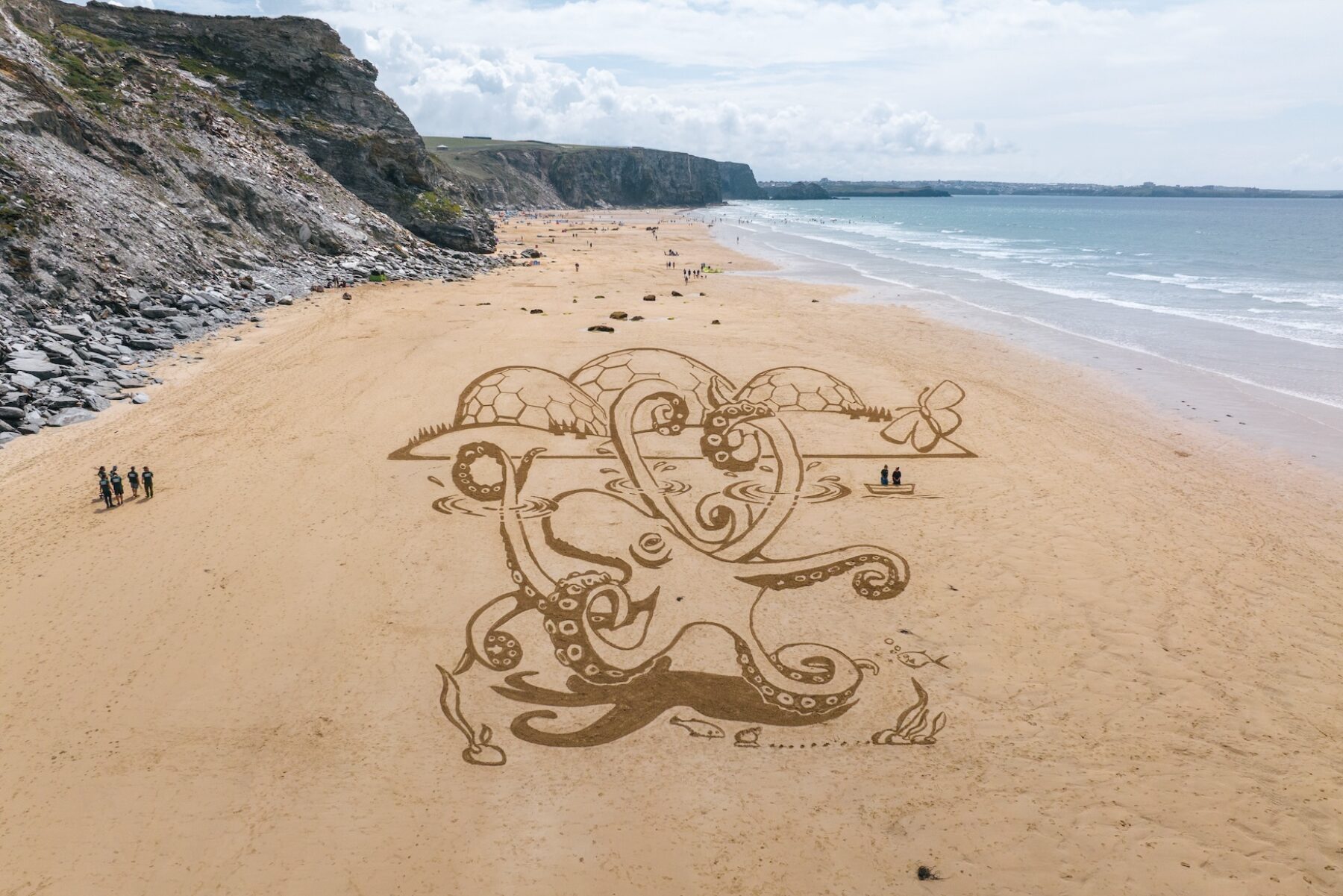 Image for Giant sand octopus makes a splash on English beach