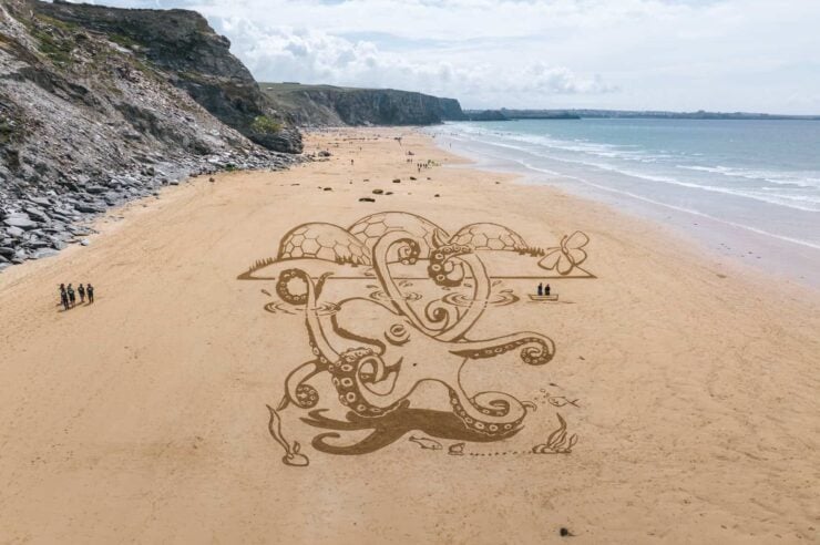 Image for Giant sand octopus makes a splash on English beach