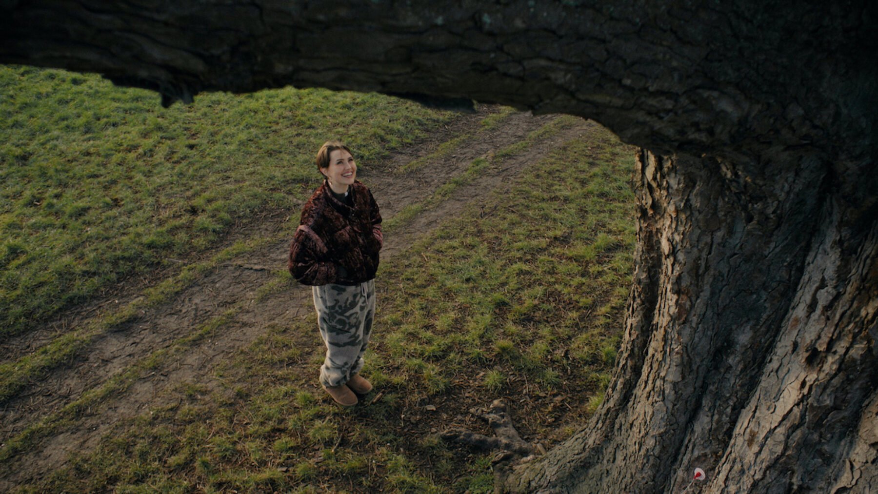 Image for Nature’s voice? Trees speak up in AI-powered experiment