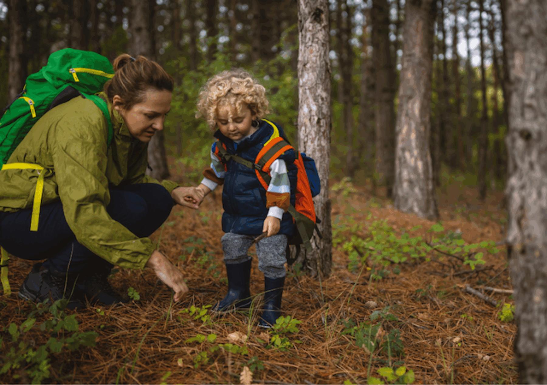 Image for App launches to help people to discover nature on their doorstep