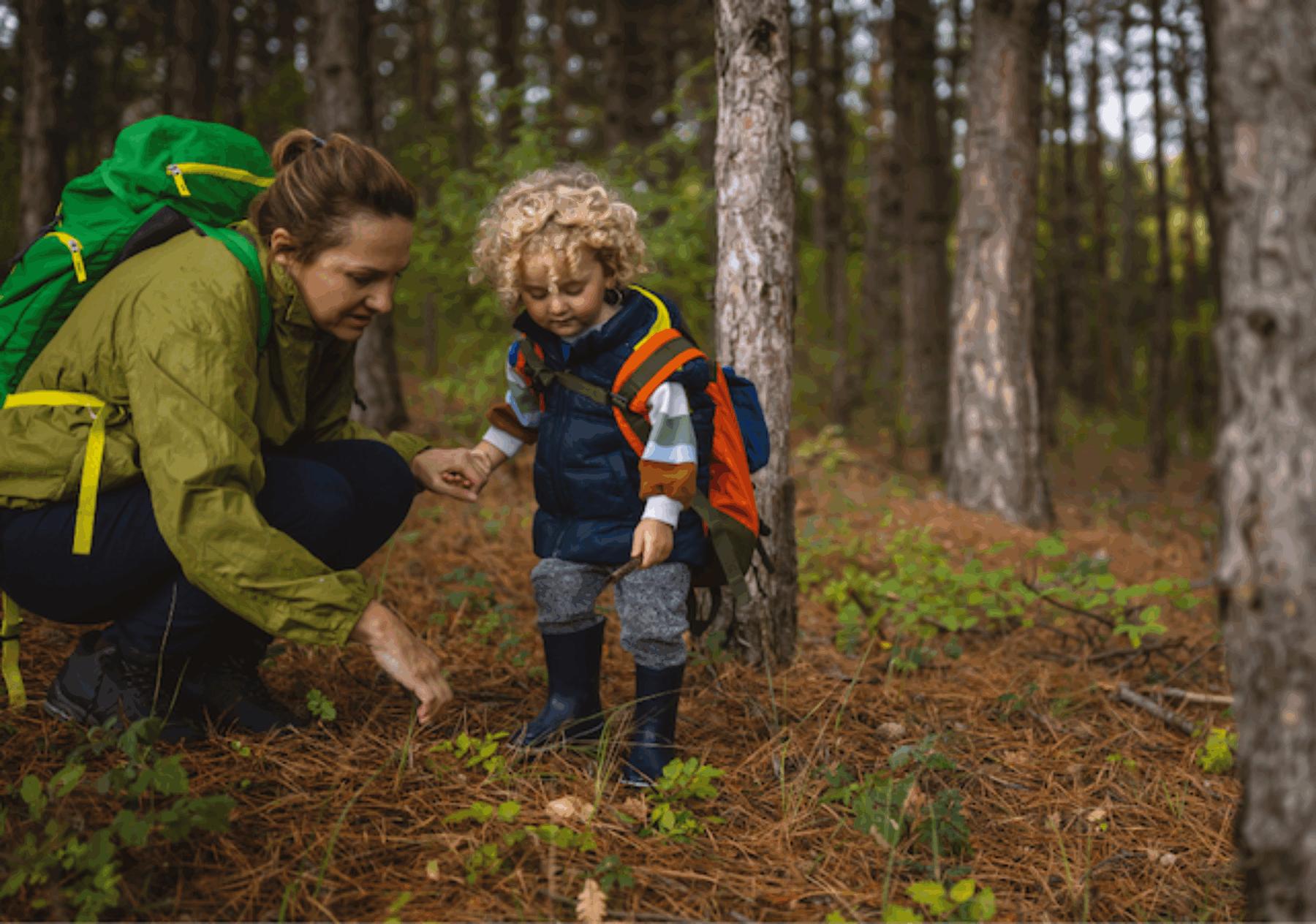 Image for App launches to help people to discover nature on their doorstep