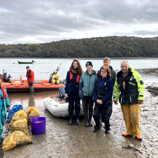 What Went Right This Week: The Good News That Matters