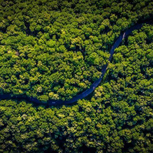 What Went Right This Week: The Good News That Matters