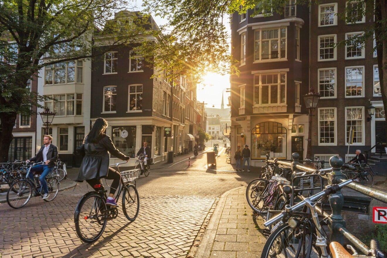 Image for What went right this week: the good news that matters