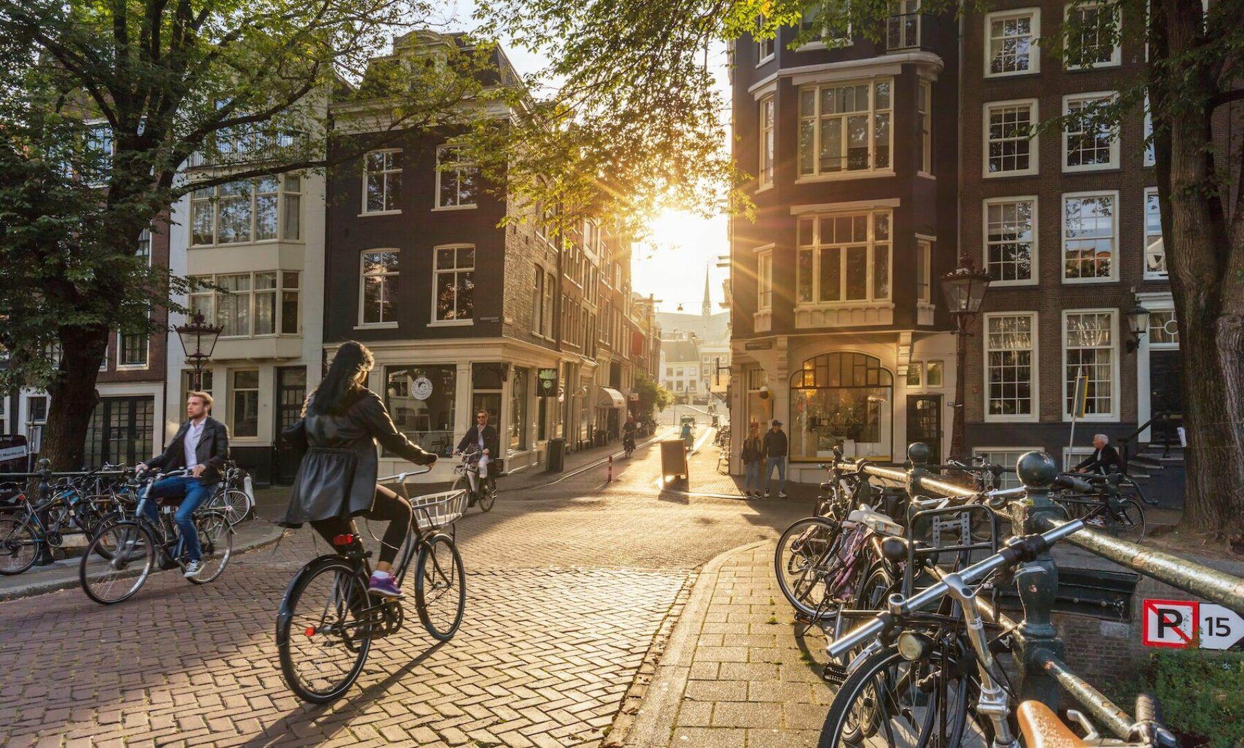 Image for What went right this week: the good news that matters